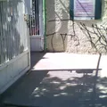 Jose Maria Morelos y Pavon 1234