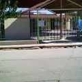 Mi Amigo Towi 1394