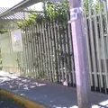 Rafael Ramirez 2006