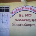 Primo Verdad 2020