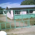 Morelos 2202