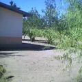 Justo Sierra 2496