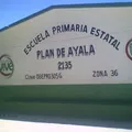 Plan de Ayala 2135