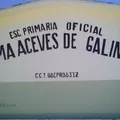 Irma Aceves de Galindo 2773