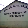 Alvaro Obregon Salido 2768