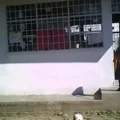 Jardin de Niños
