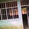 Escuela Primaria