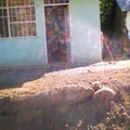Secundaria Comunitaria