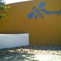 Colegio Montessori de Chihuahua A.c.