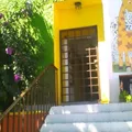 Colegio Maple