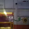 Teofilo Cedillo Granados