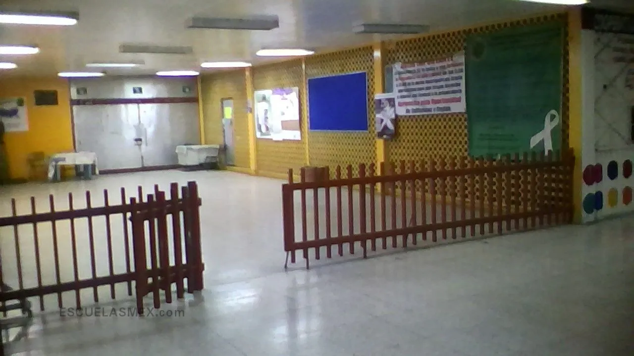 Sr. Dn. Venustiano Carranza Entrada