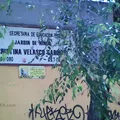 Maria Cristina Velasco Garduño