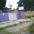 Xochitlalzin