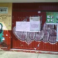Taviche