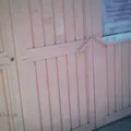 Profesora Dolores Pasos