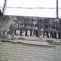 Celia Amezcua