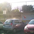 Profra. Nieves Zedillo Gonzalez