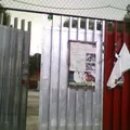 Domingo Martinez Paredez