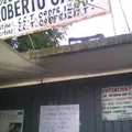 Ing. Roberto Gayol