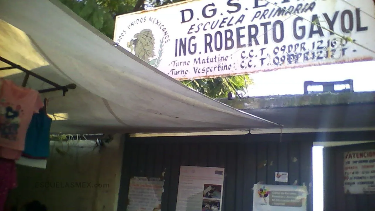 Ing. Roberto Gayol Entrada