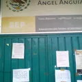 Angel Anguiano