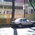 Miguel F Martinez