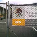 Profr. Jose Romero y Fuentes