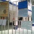 Instituto Bassols