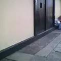 Nueva Academia de Formación Integral