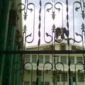 Escuela Leonesa
