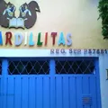 Centro de Desarrollo Infantil las Ardillitas