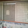 Centro de Desarrollo Infantil Cuicalli Copilco