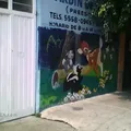 Centro Escolar Maestro Mexicano