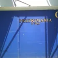Colegio México