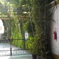 Colegio Batallon de San Patricio