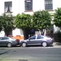 Ollin Yoliztli