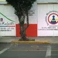 Montessori Kalpilli