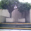 Taller Educativo Montessori