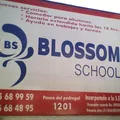 Blossom