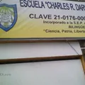 Charles R Darwin School