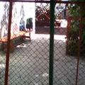 Cocuxta