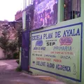 Plan de Ayala