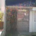 Nueva Raza