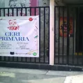 Centro de Estimulacion y Recreacion Infantil, Seccion Primaria