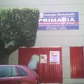 Colegio Bertalanffy