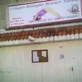 """colegio Bilingüe Bruner-taoma"""