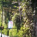 """colegio Batallon de San Patricio"""