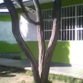 General Guadalupe Victoria