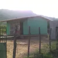 Nene Kalli